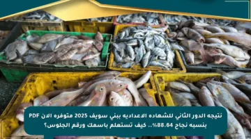 نتيجة الدور الثاني للشهادة الإعدادية ببني سويف 2025 متوفرة الآن PDF بنسبة نجاح 88.64%.. كيف تستعلم باسمك ورقم الجلوس؟
